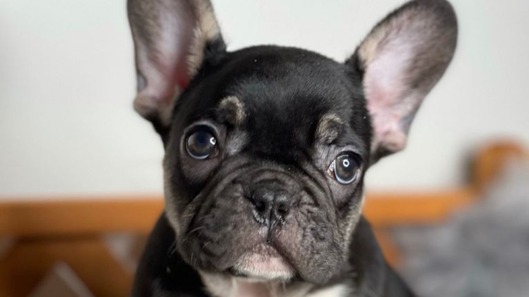 Tak brzydkie, że aż piękne