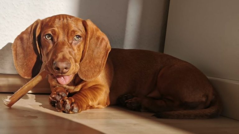 Cudownych rodziców mam ...